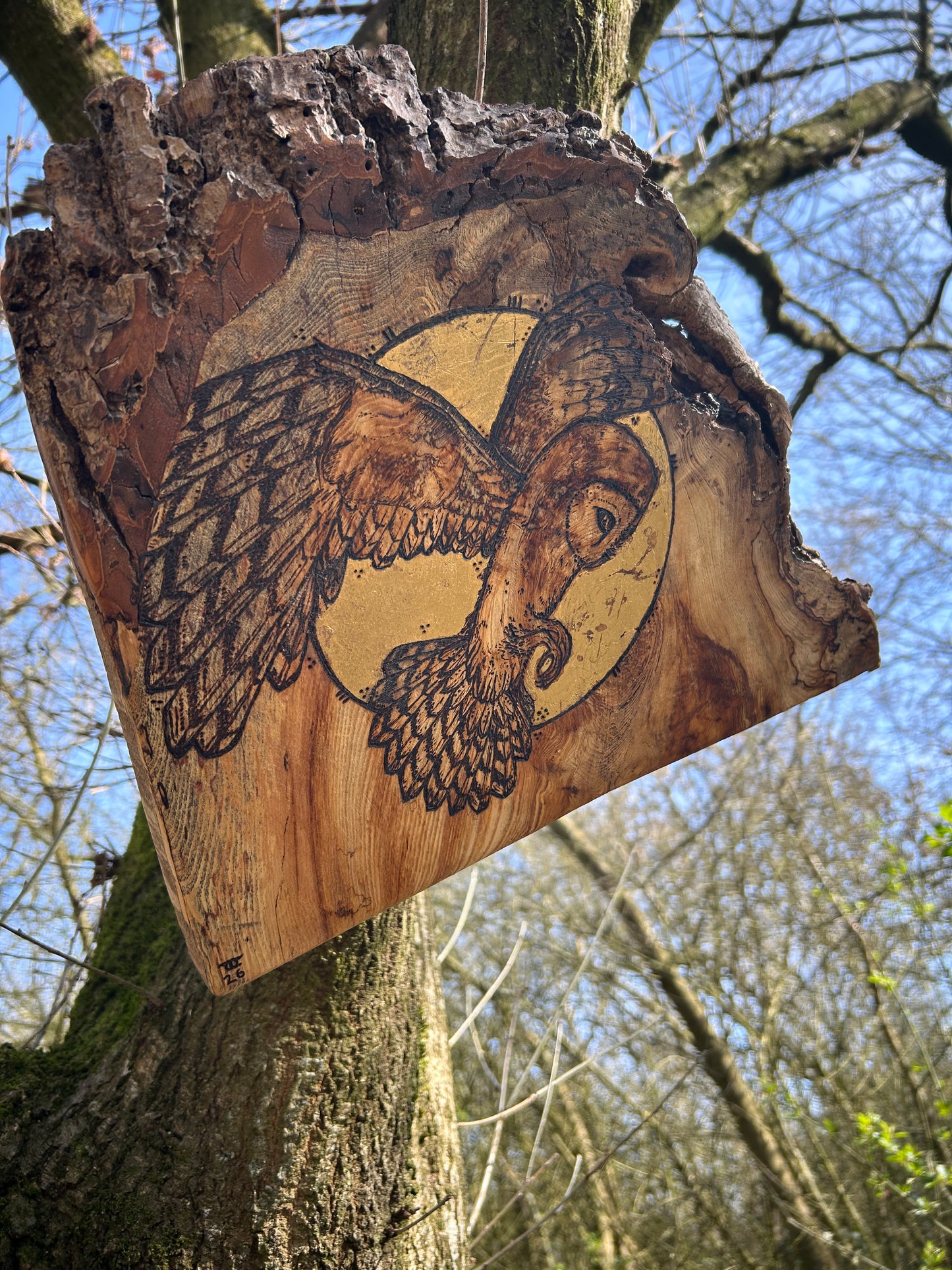 Barn Owl Moon Magic ~ Wall Hanging ~ Spalted Ash