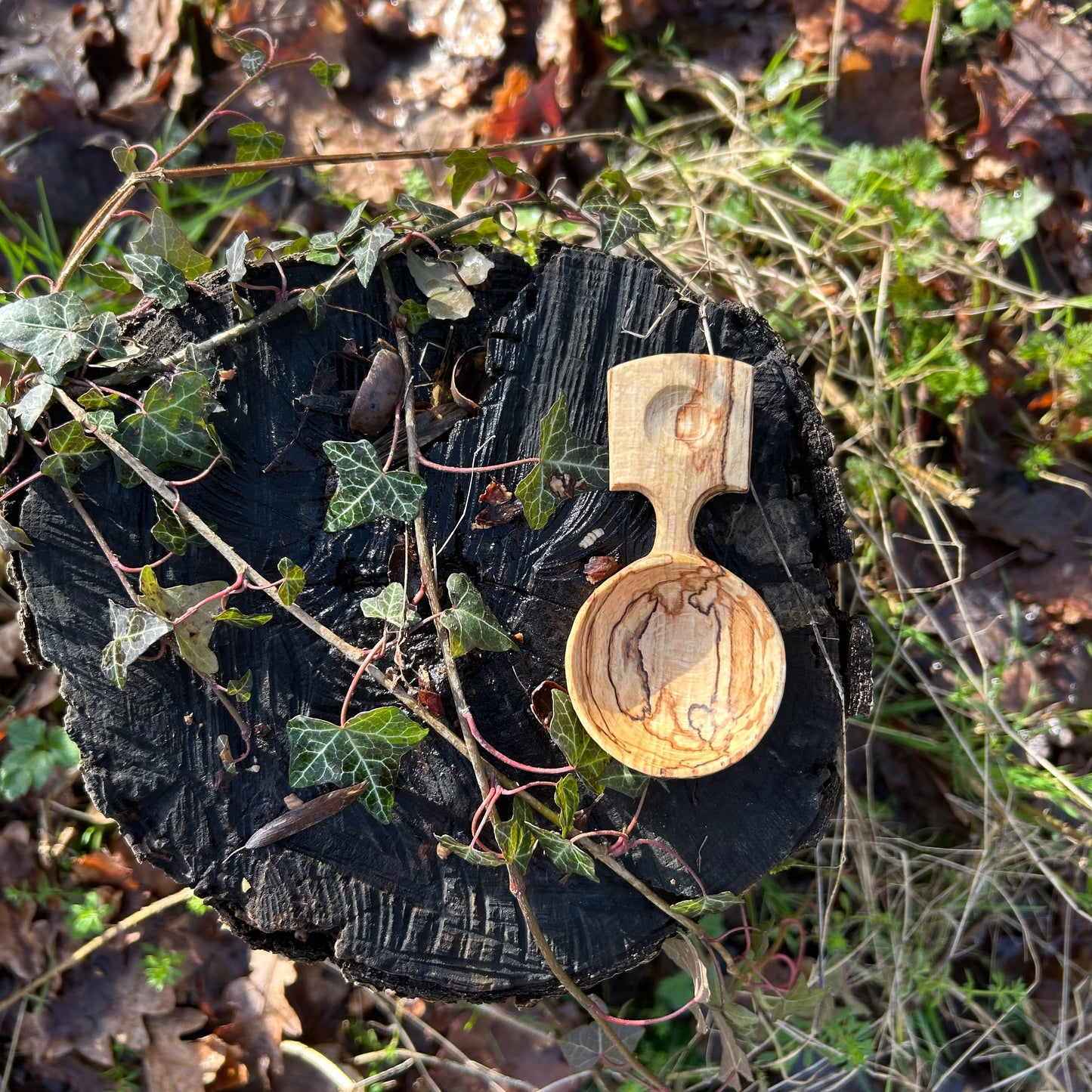 ~ Circles ~ Coffee Scoop ~ Spalted Beech