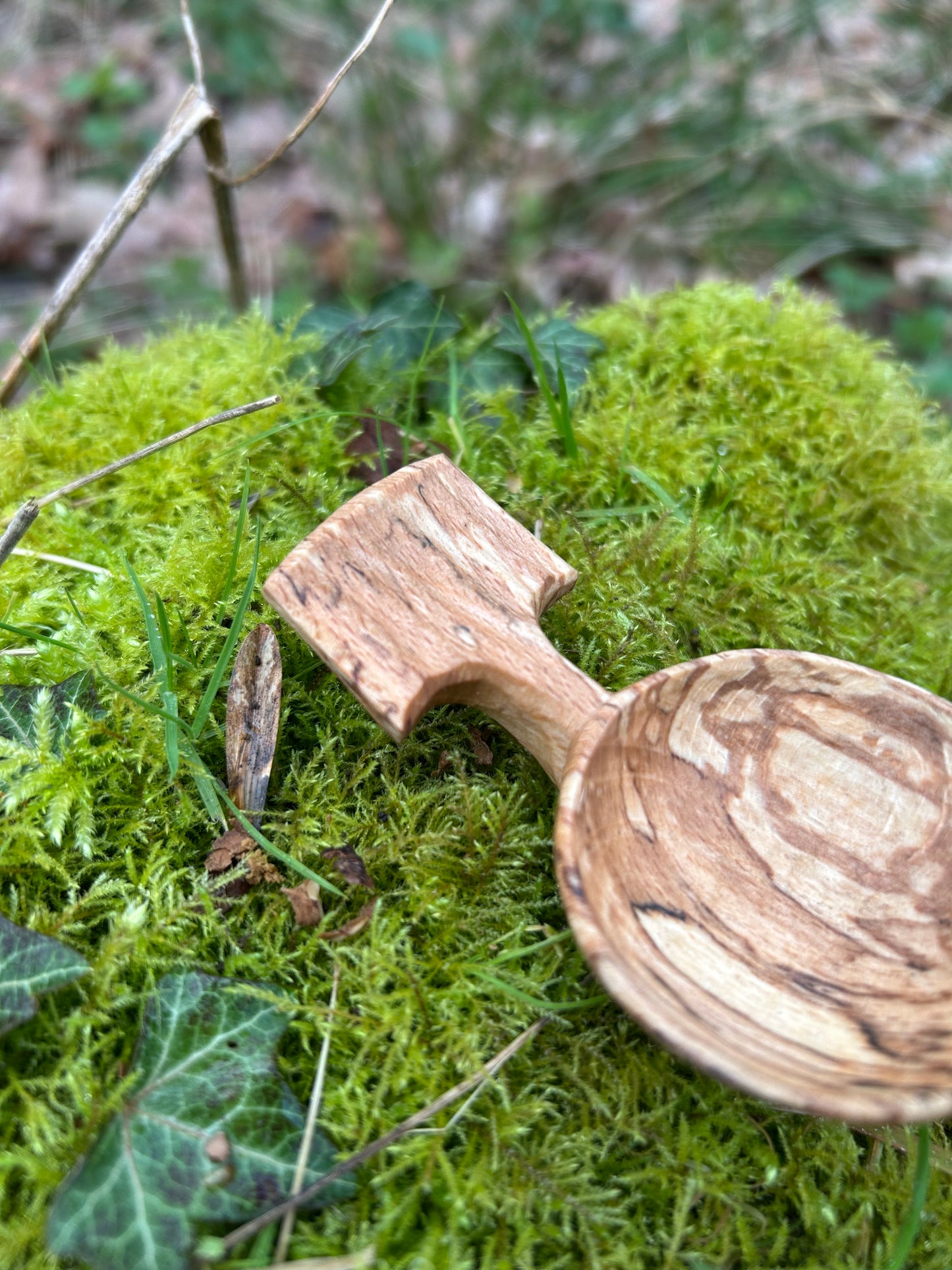 Fawn ~ Scoop ~ Spalted Beech