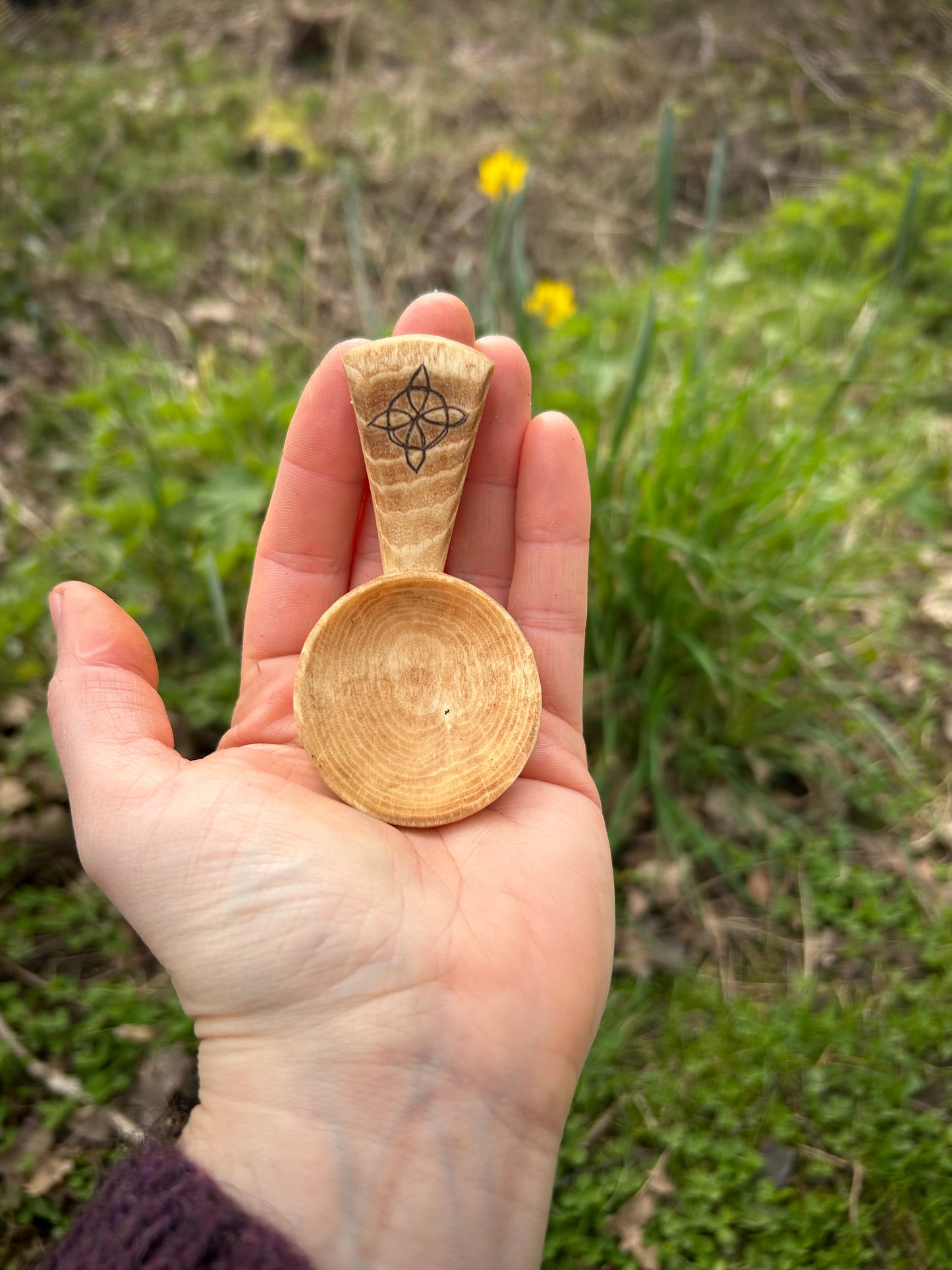 Celtic Caddy Spoon ~ Hexefus ~ Beech Wood