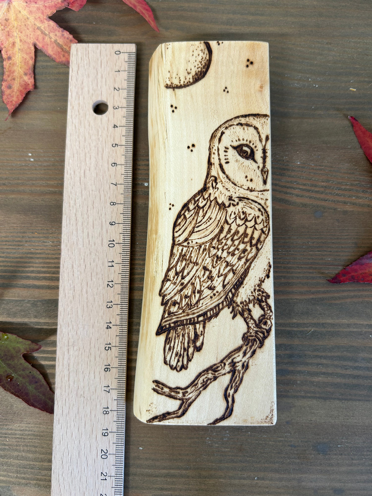 Barn Owl ~ Pyrography Mini Artwork