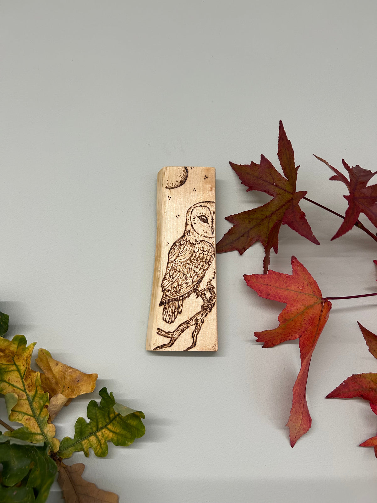 Barn Owl ~ Pyrography Mini Artwork