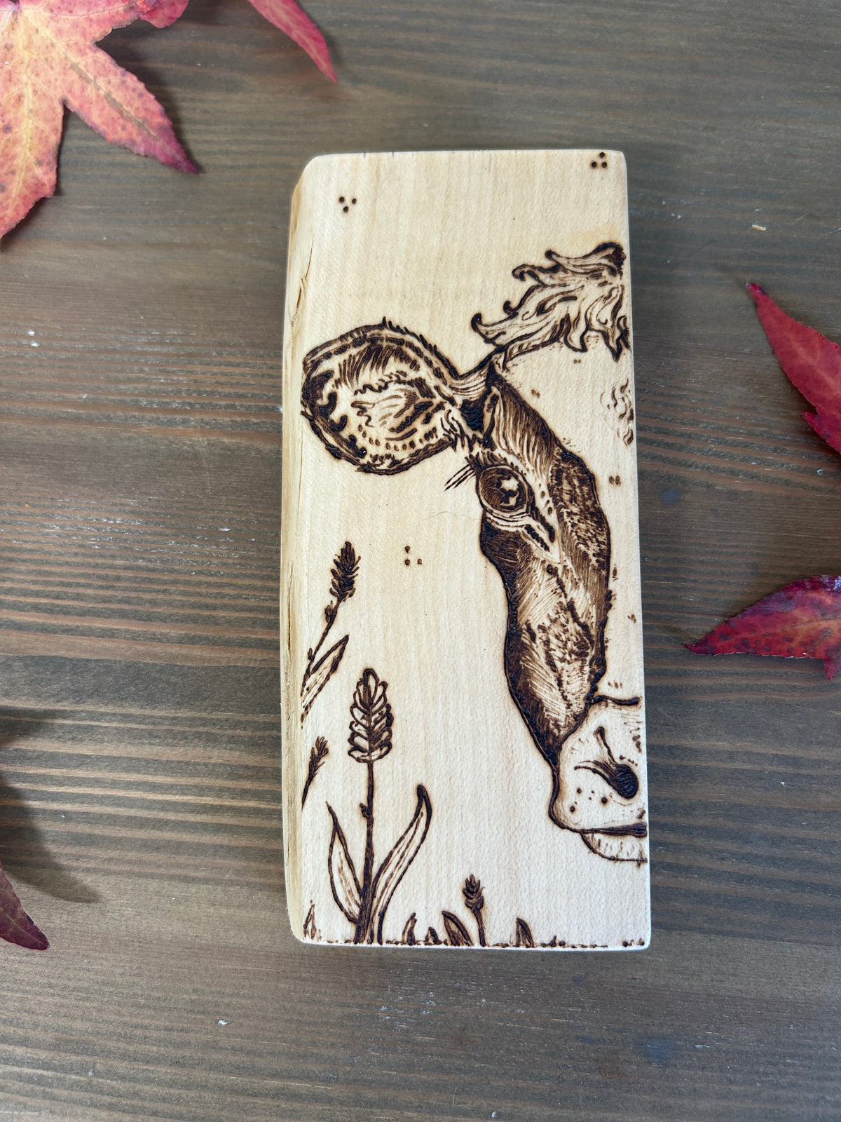 Dairy Cow ~ Mini Pyrography Artwork