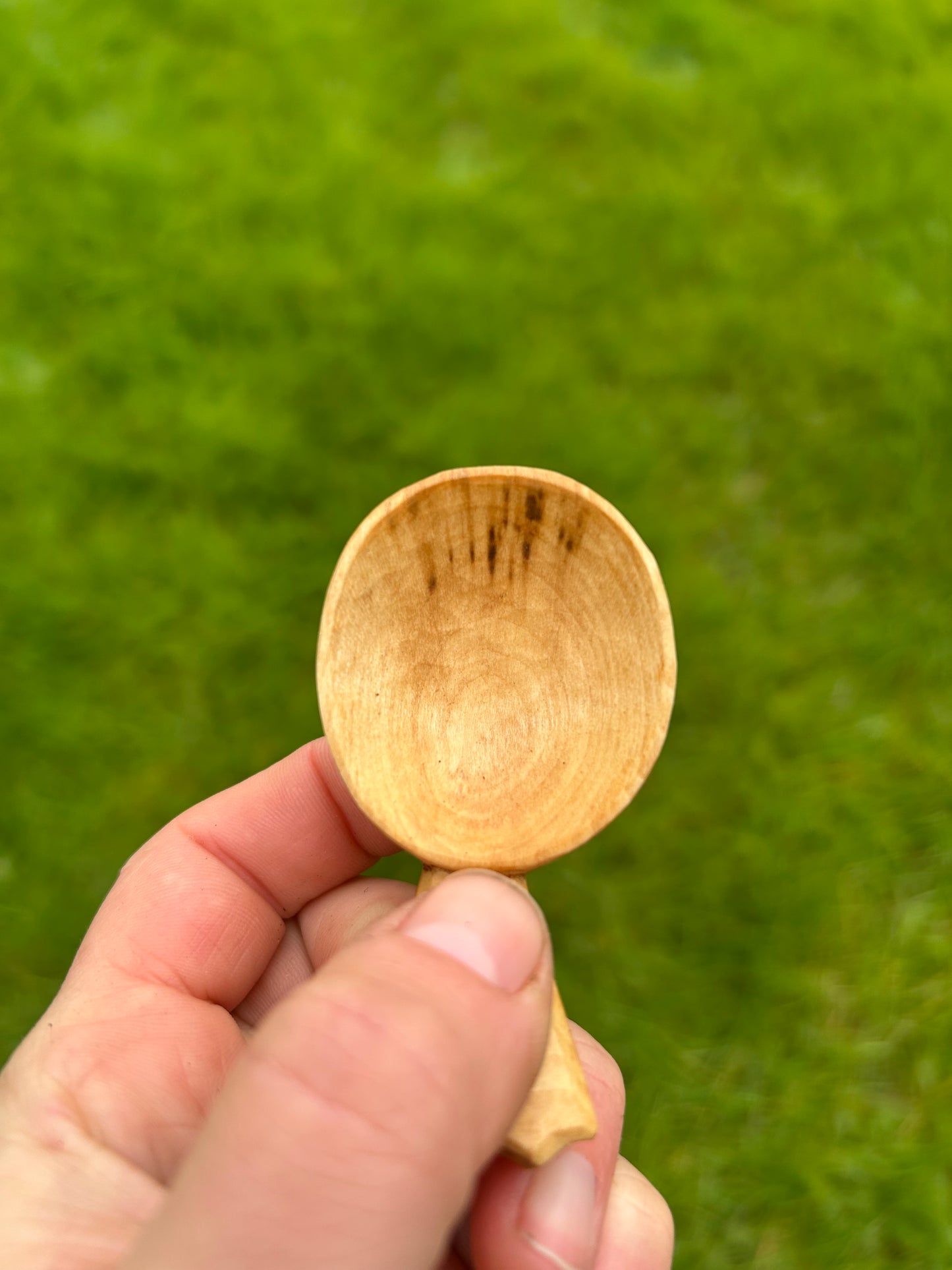 Moon and Sun ~ Set of Two Caddy Spoons