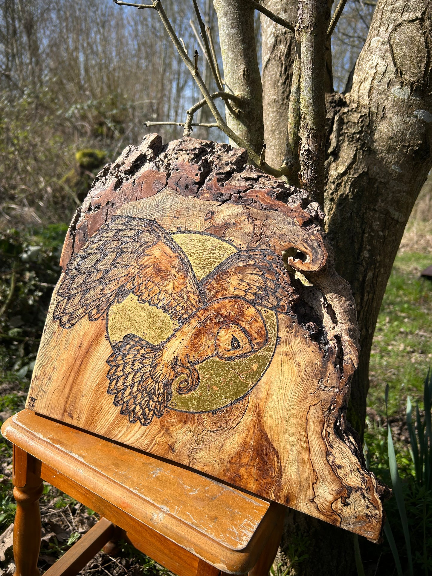 Barn Owl Moon Magic ~ Wall Hanging ~ Spalted Ash