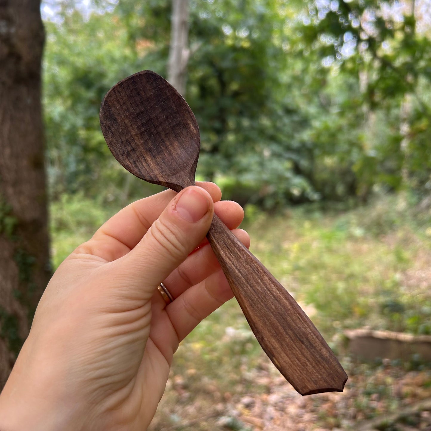 ~ Silky ~ Eating Spoon ~ Walnut