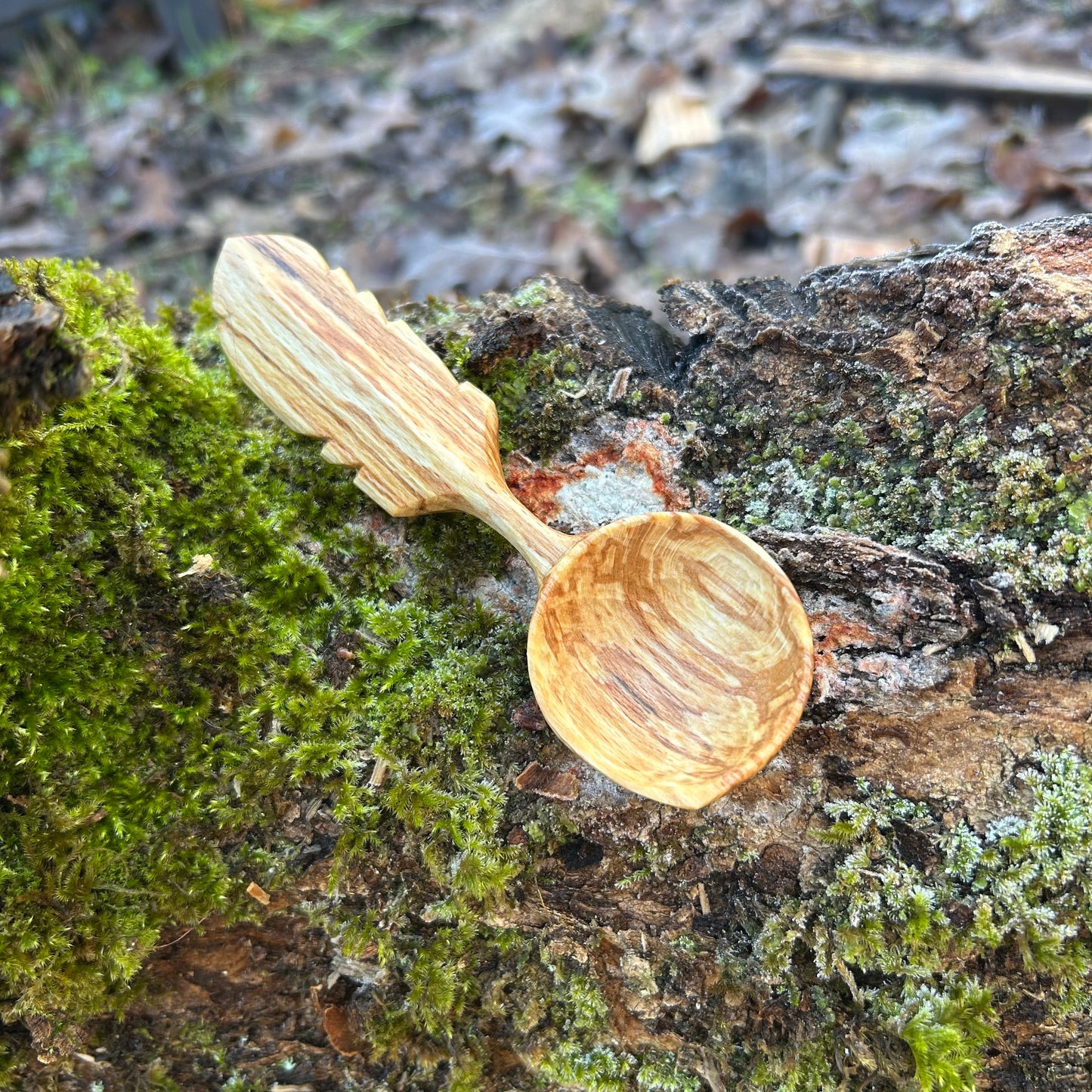 A-symmetrical Feather Scoop ~ Spalted Beech