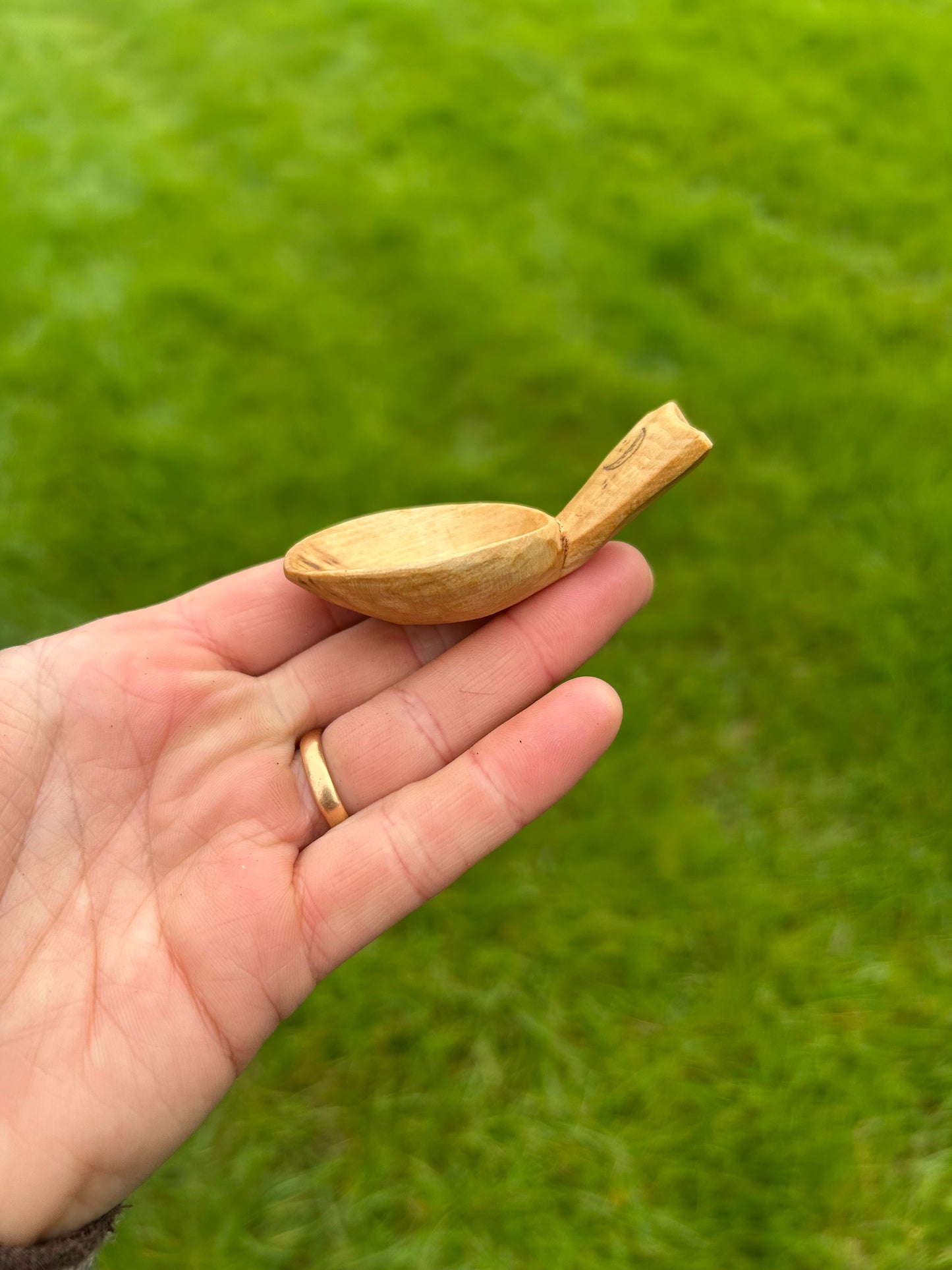 Moon and Sun ~ Set of Two Caddy Spoons