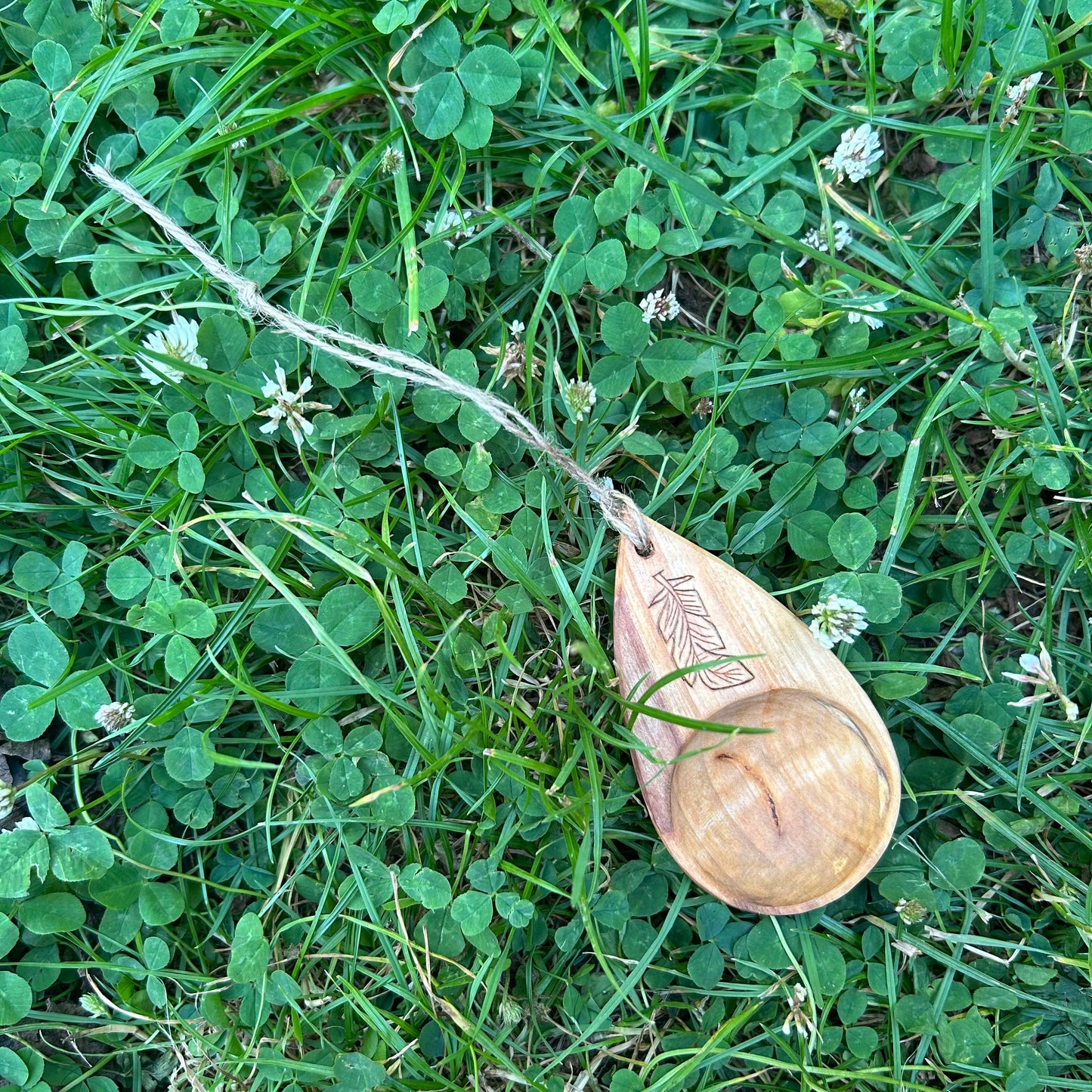 Coffee Scoop ~ Silver Birch