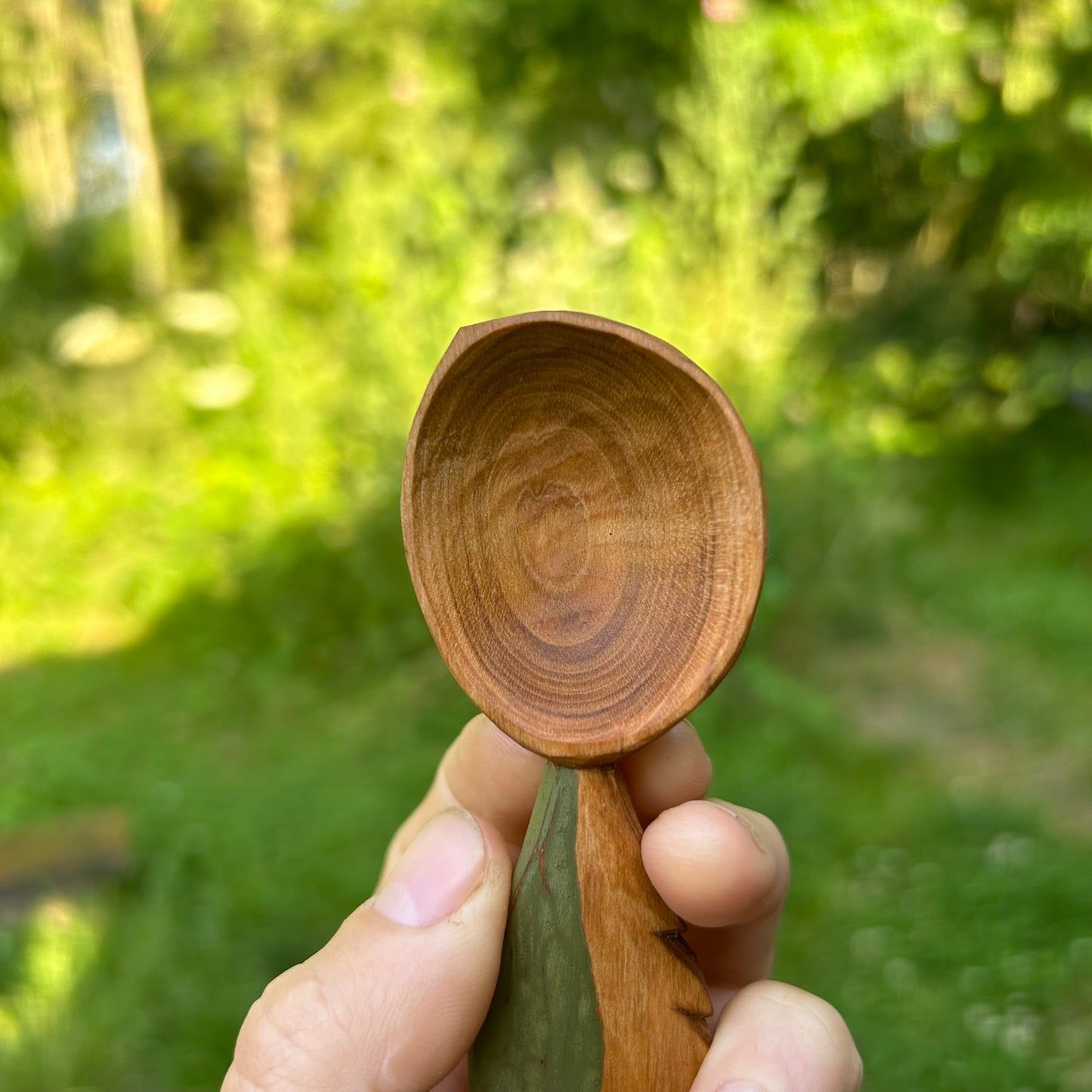 Green Feather Coffee Scoop - Cherry