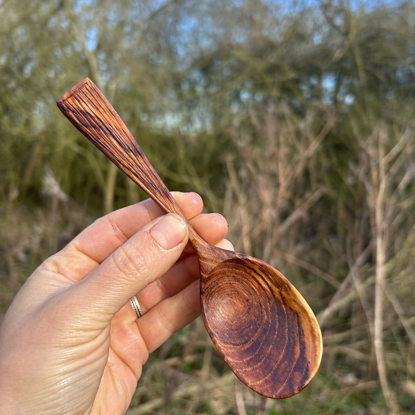 TEXTURE ~ English Elm ~ Eating Spoon