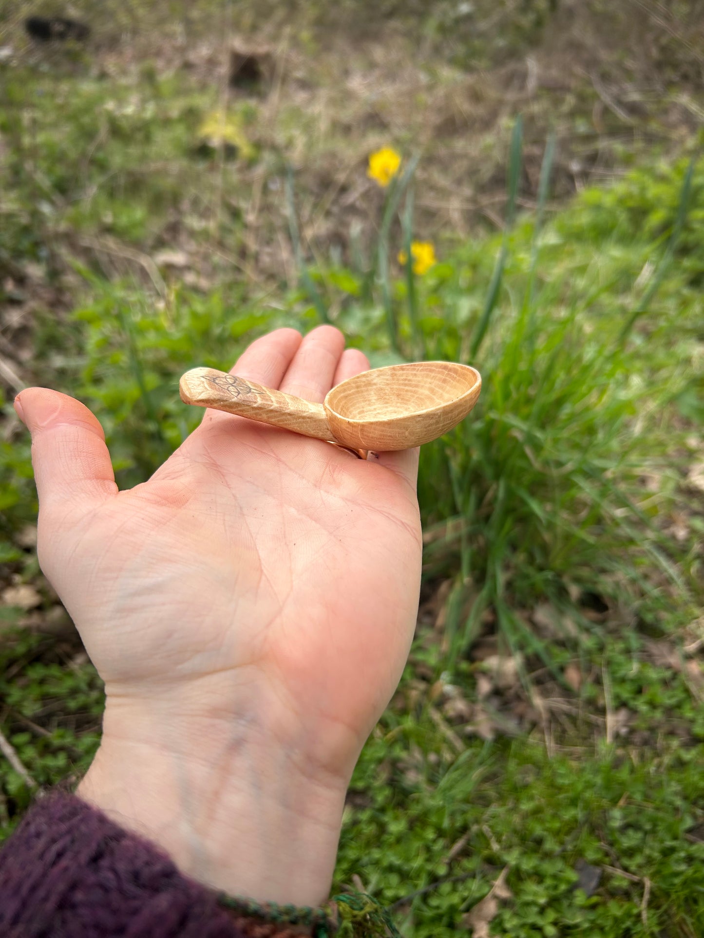 Celtic Caddy Spoon ~ Hexefus ~ Beech Wood