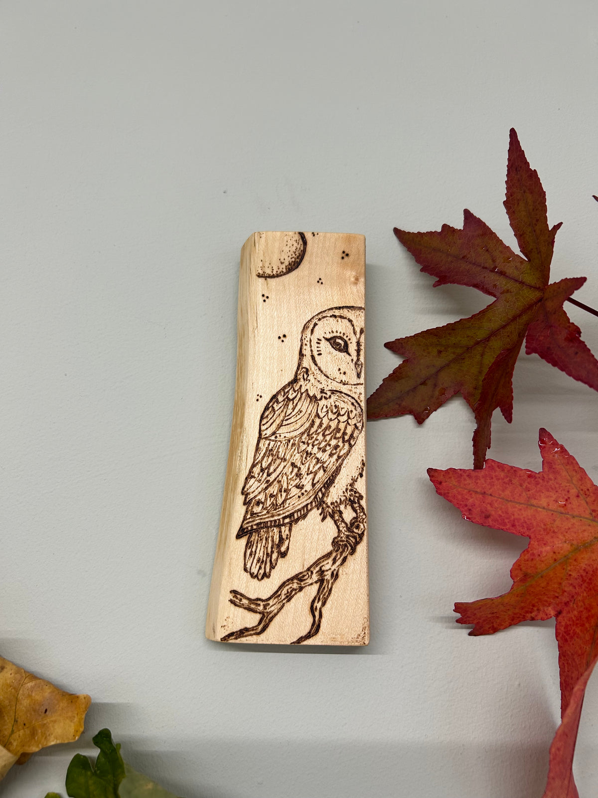 Barn Owl ~ Pyrography Mini Artwork