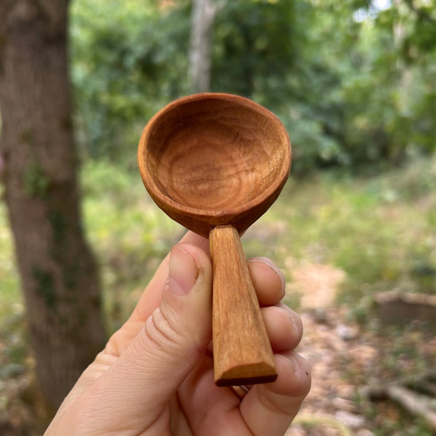 ~ Circles ~ Coffee Scoop ~ Cherry