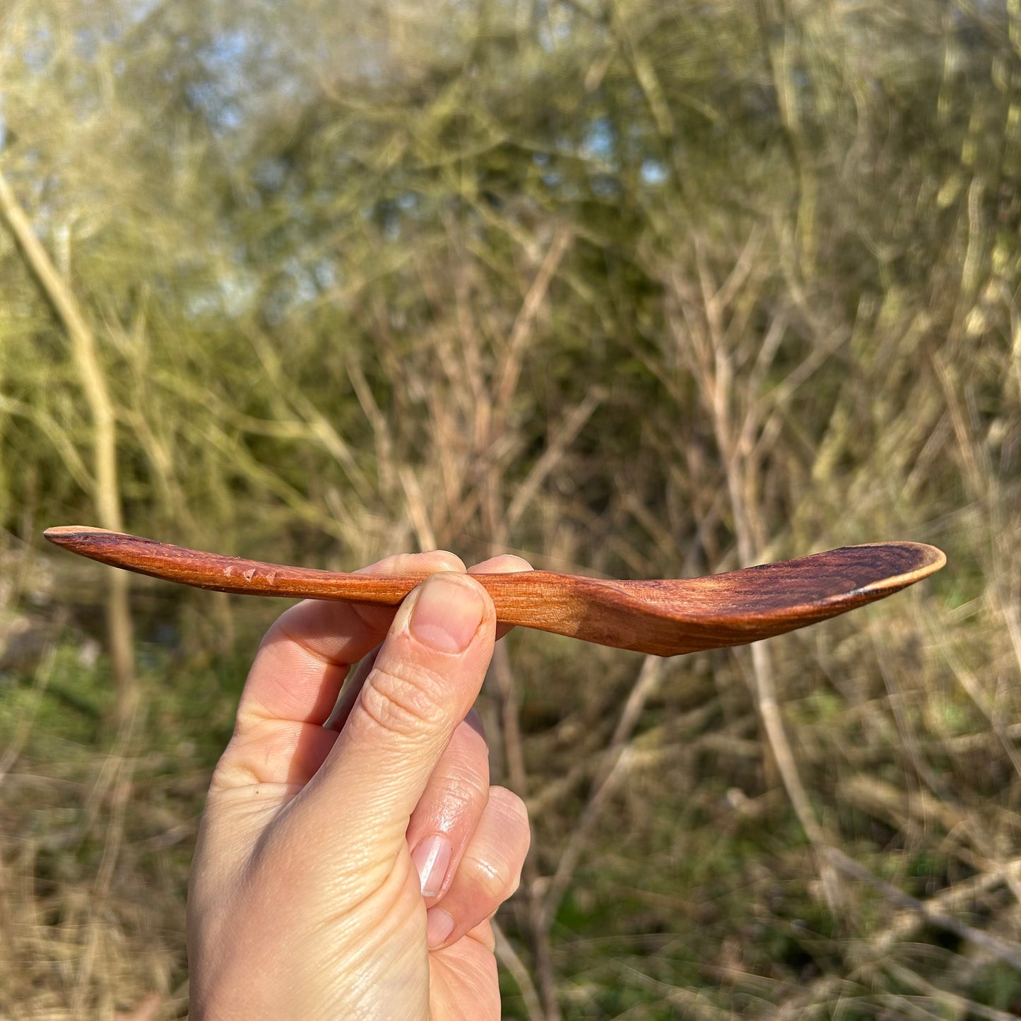 WAVES ~ English Elm ~ Eating Spoon