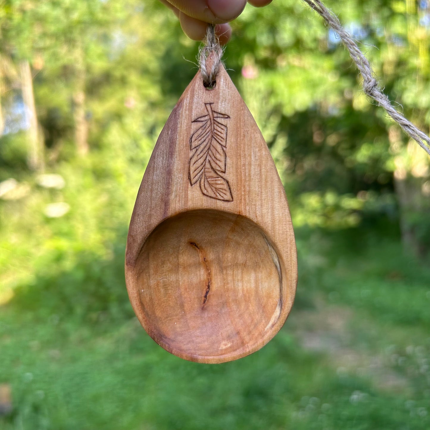 Coffee Scoop ~ Silver Birch