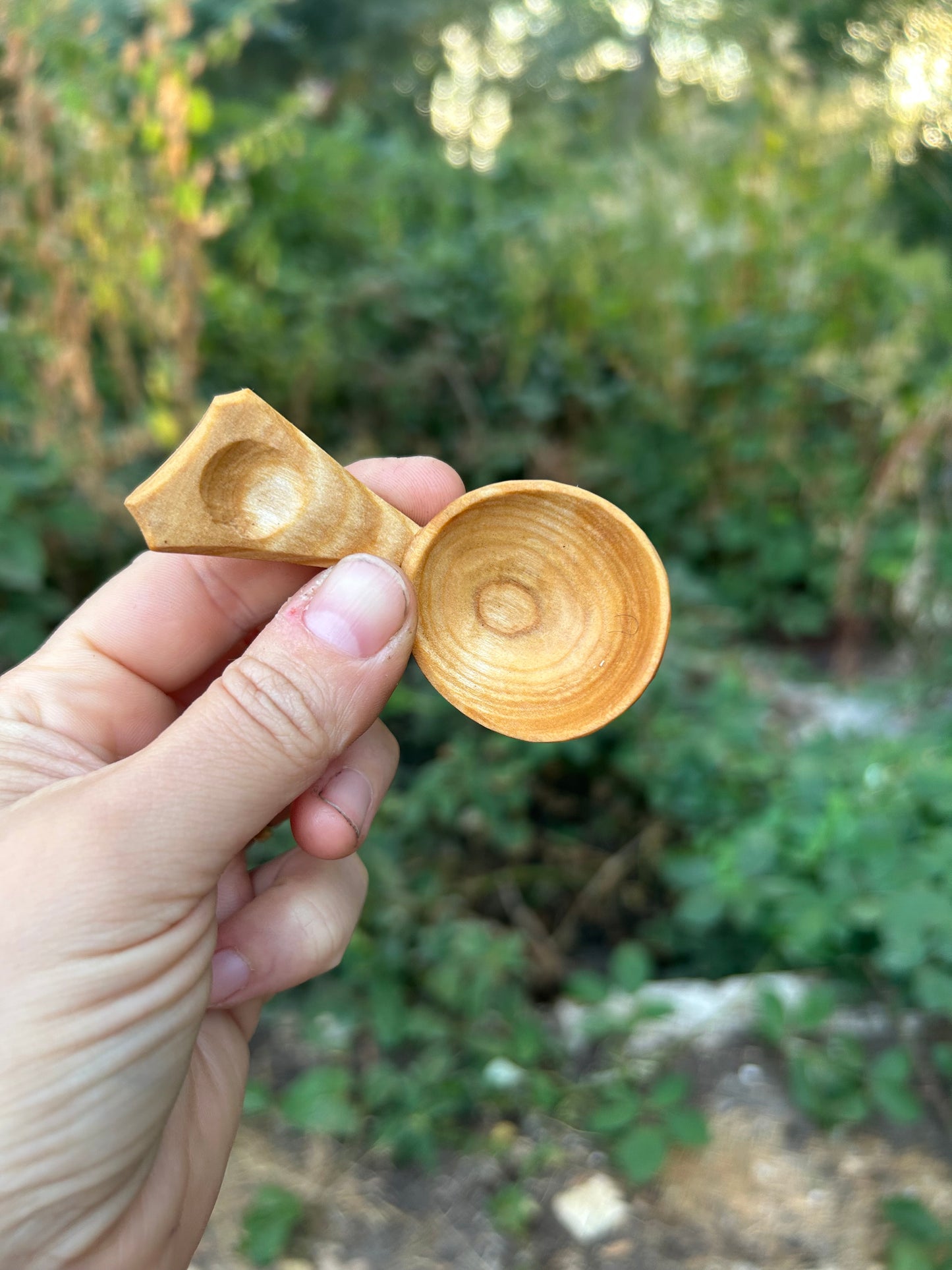 Circles ~ Caddy Spoon ~ Cherry Wood