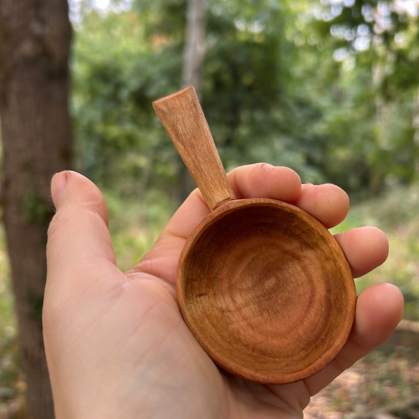 ~ Circles ~ Coffee Scoop ~ Cherry