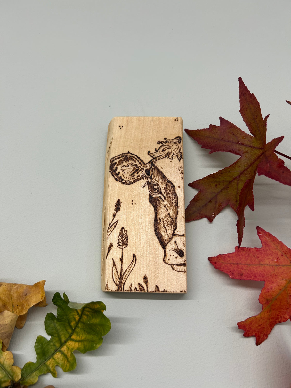 Dairy Cow ~ Mini Pyrography Artwork