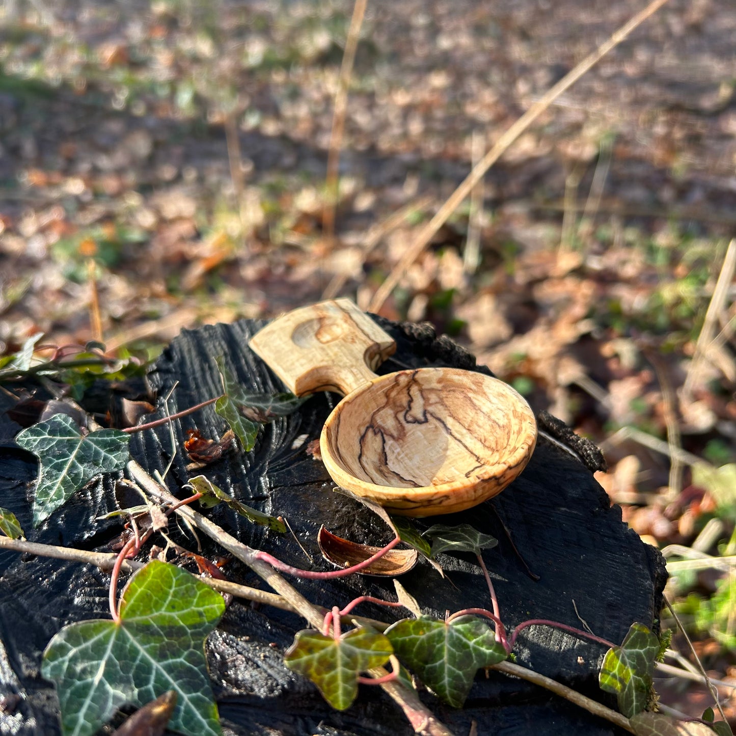 ~ Circles ~ Coffee Scoop ~ Spalted Beech