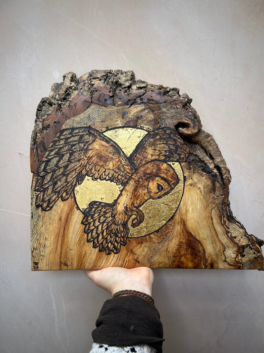 Barn Owl Moon Magic ~ Wall Hanging ~ Spalted Ash