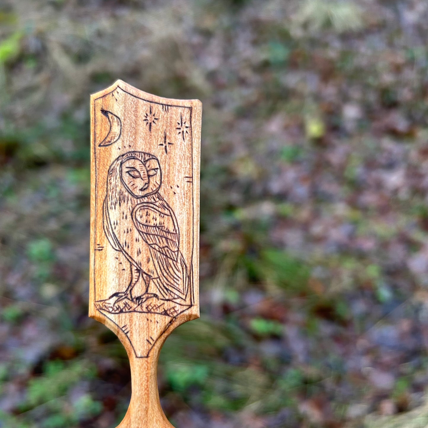 Moonlit Barn Owl ~ Scoop ~ Cherry Wood