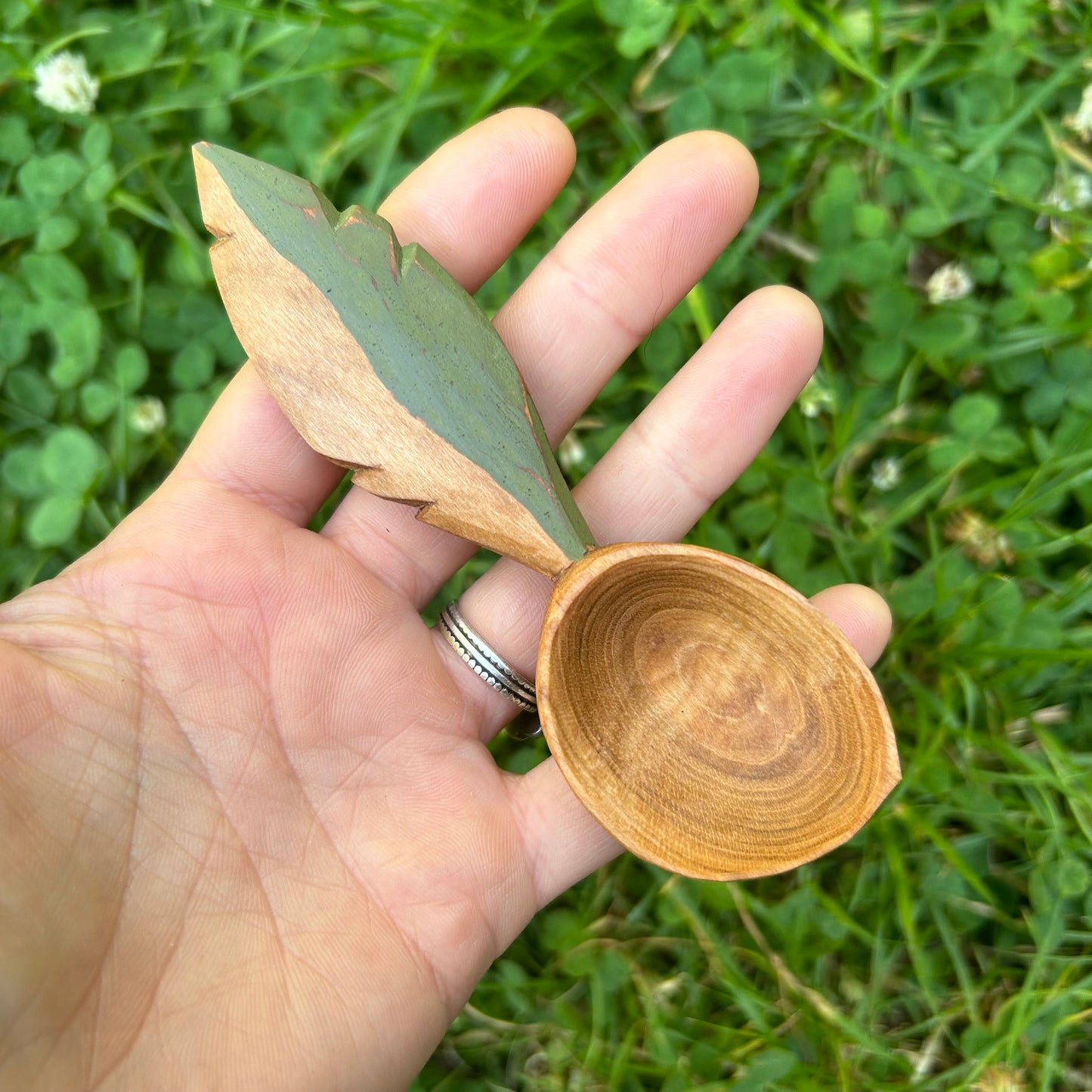 Green Feather Coffee Scoop - Cherry