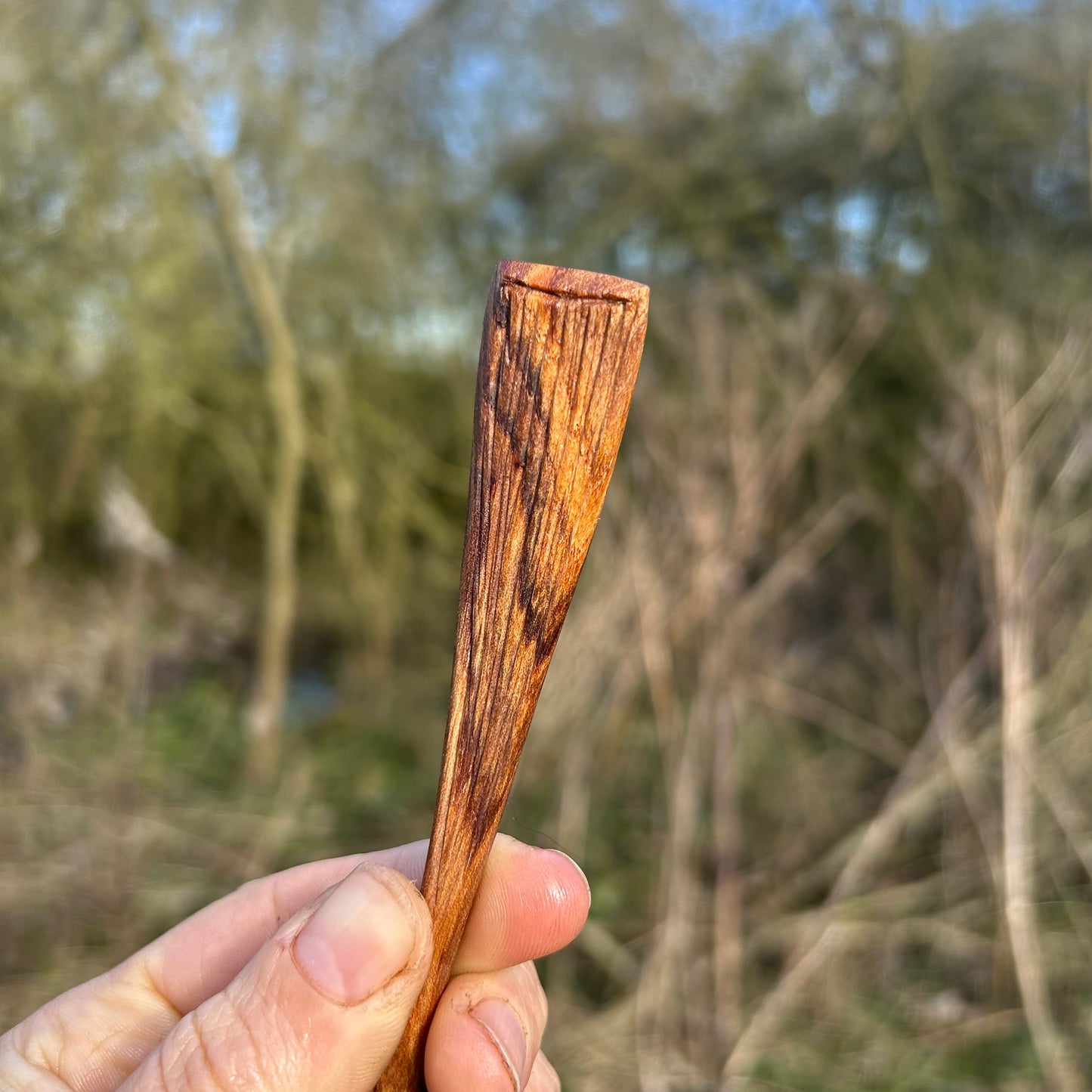 TEXTURE ~ English Elm ~ Eating Spoon