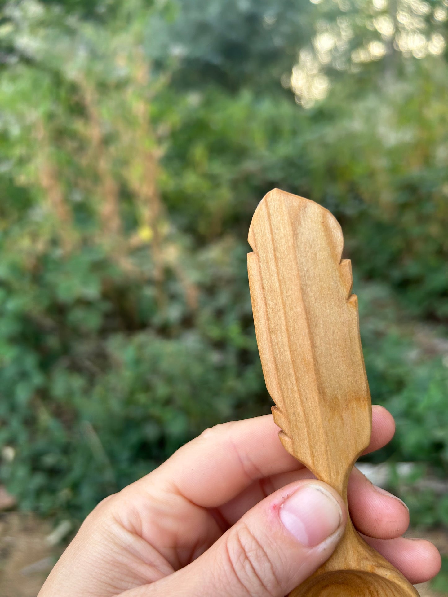 Flight ~ Feather Coffee Scoop ~ Cherry Wood
