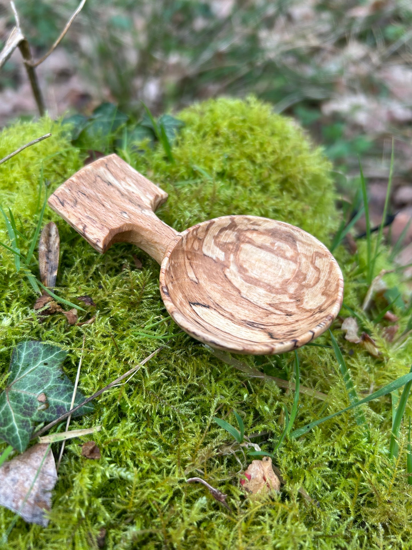 Fawn ~ Scoop ~ Spalted Beech