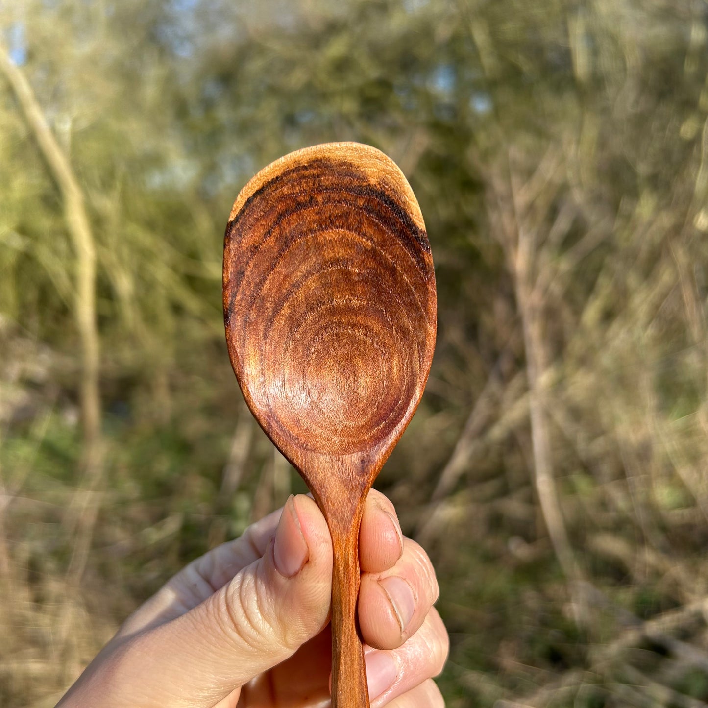 WAVES ~ English Elm ~ Eating Spoon