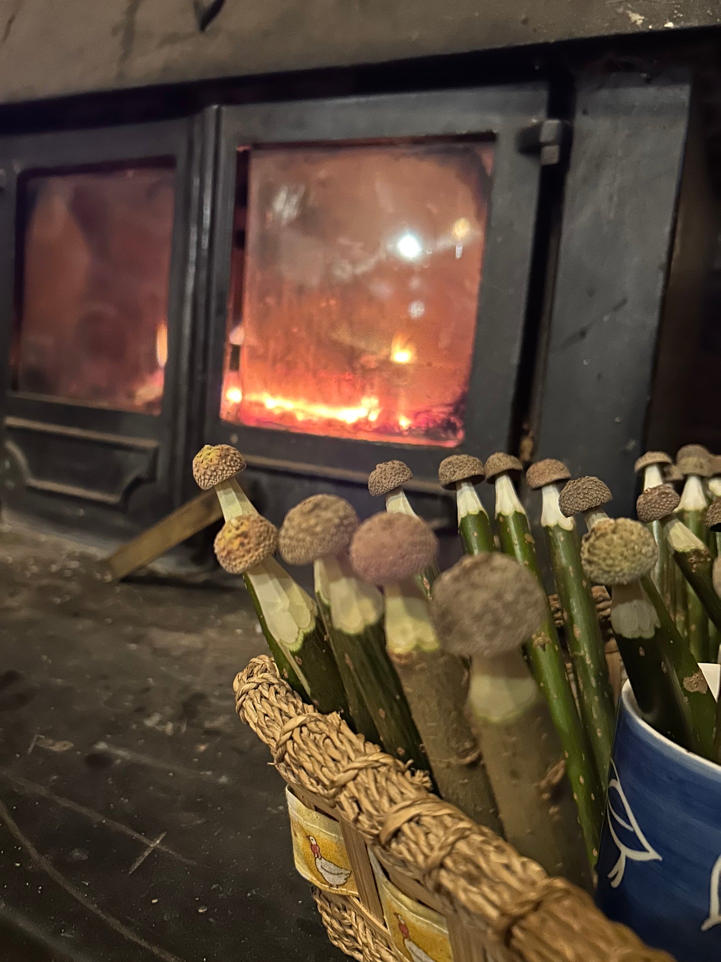 Magic Toadstool Pencils